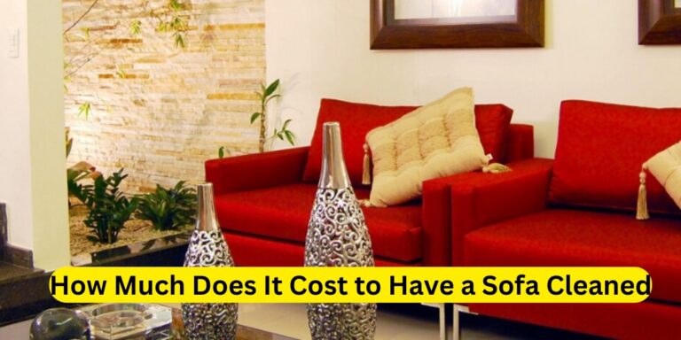 How Much Does It Cost to Have a Sofa Cleaned